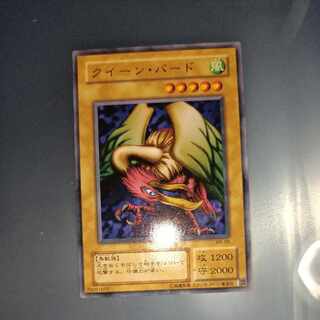 Queen Bird 2nd period Normal