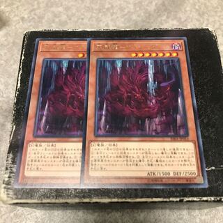 Tenwei Ryu - Vishda Rare 2 pieces