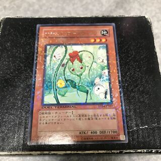 Naturia Rosewhip Rare JP021