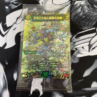 Life Life, Earth and Roaring Decision SR S12/S12