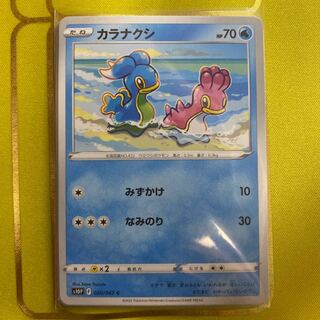 Shellos C 020/067 Set of 4