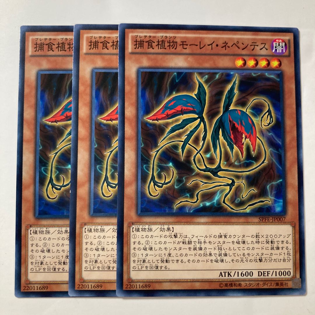 6952 Predaplant Moray Nepenthes $212