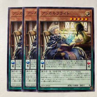 6953 Anchamoufrite $213