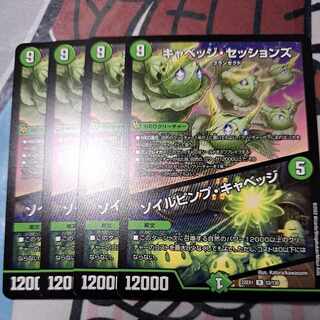 キャベッジ・セッションズ｜ソイルピンプ・キャベッジ R 52/130　②