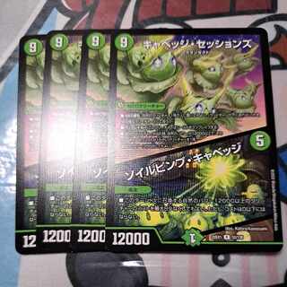 キャベッジ・セッションズ｜ソイルピンプ・キャベッジ R 52/130