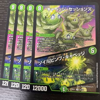 キャベッジ・セッションズ｜ソイルピンプ・キャベッジ R 52/130 4枚セット