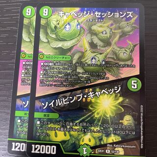 キャベッジ・セッションズ｜ソイルピンプ・キャベッジ R 52/130 2枚セット