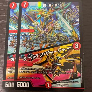 R.S.F.K.｜All-in charger VR 30/130, set of 2