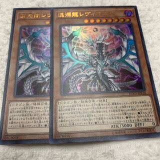 混源龍レヴィオニア　専用