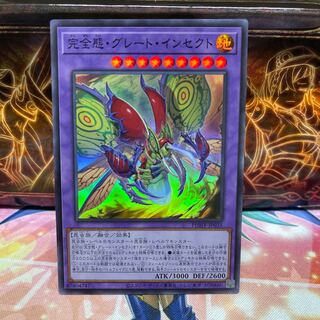 No.1322 P屋 Integrity attitude, Great Insect [Sioux