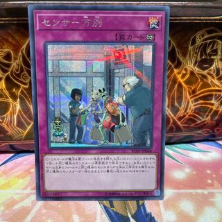 No.1334 P屋　センサー万別 【シク】