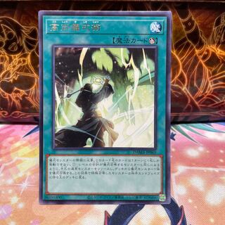 No.1342 P屋 High Ritual Art [Rare