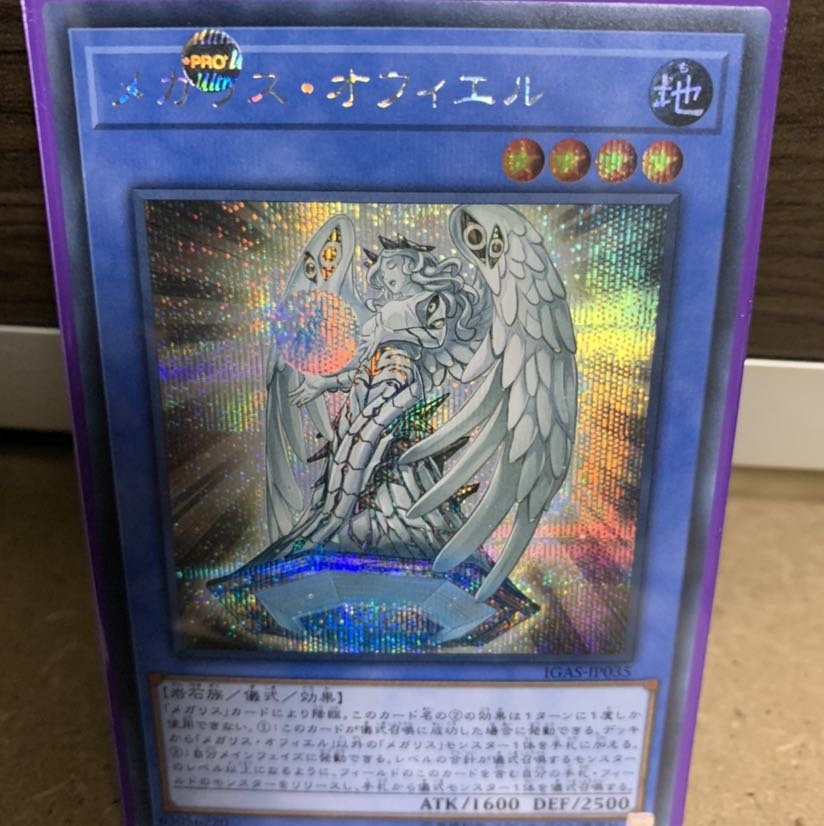 Mega Squirrel Offiel Sik.