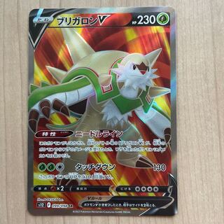 ChesnaughtV SR 099/098 1枚