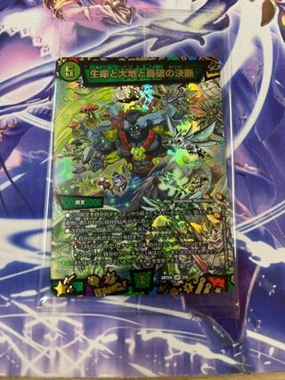 Life Life, Earth and Roaring Decision SR S12/S12