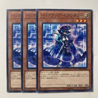 6955 Backup Secretary Normal JP002