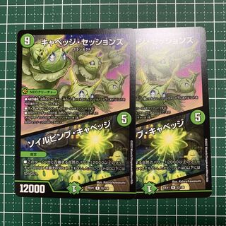 キャベッジ・セッションズ｜ソイルピンプ・キャベッジ R 52/130 2枚