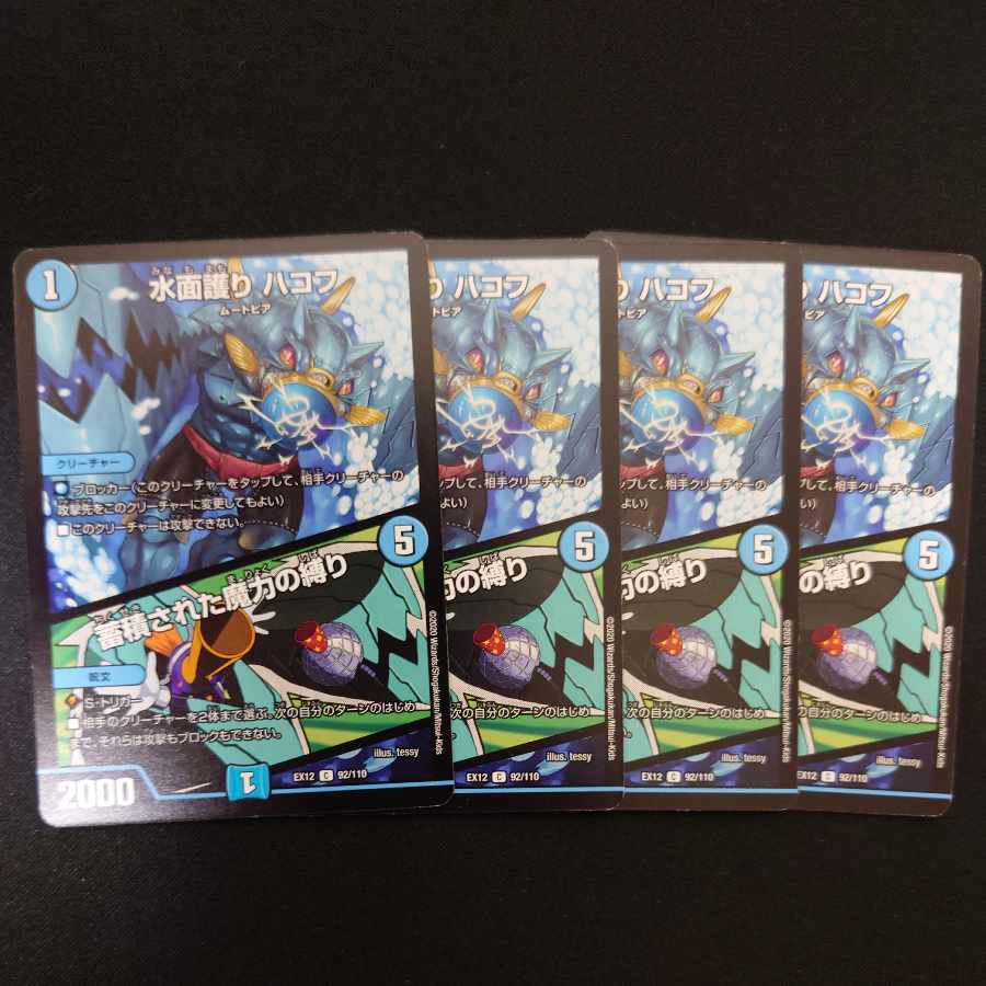 Water surface protection HAKOF|Binding of accumulated magic power C 92/110