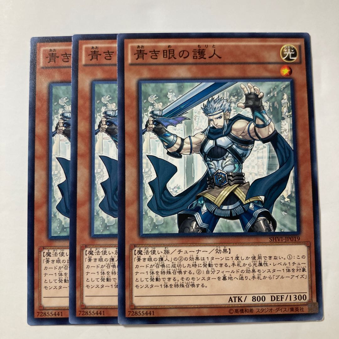 6966 Protector with Eyes of Blue $231