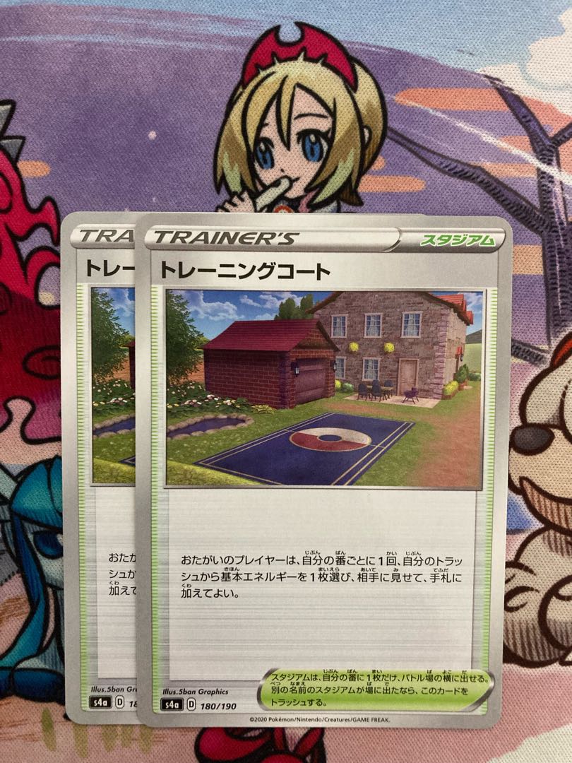 Training Court 180/190