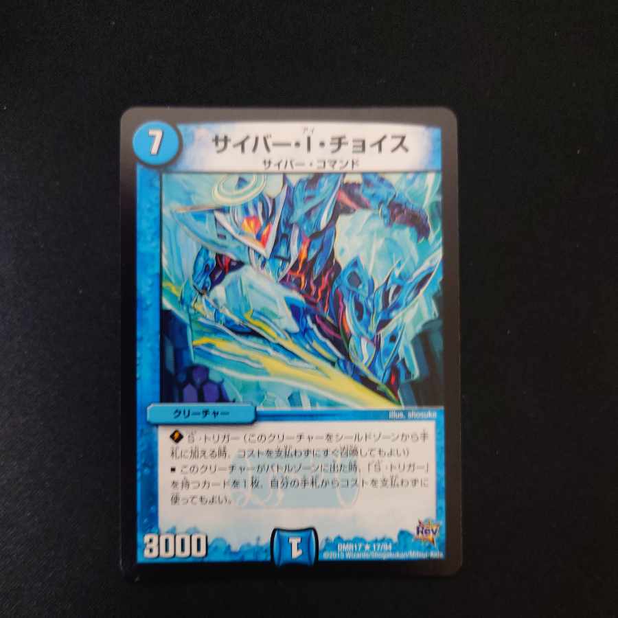 Cyber I. Choice R 17/94