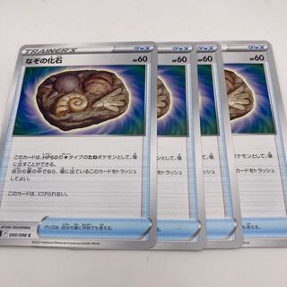 なぞの化石　C 4枚