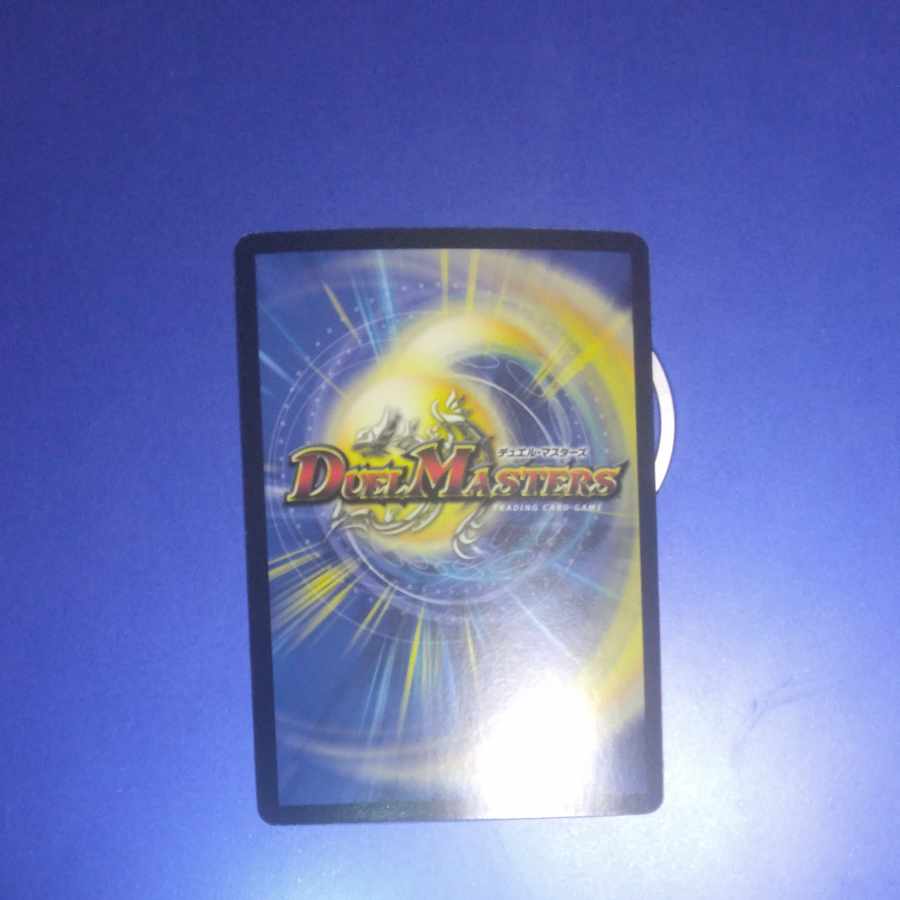 Shippen Furious Fighting Kubrick P59/Y12