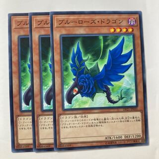 7006 ブルーローズ・ドラゴン ノーマル JP031