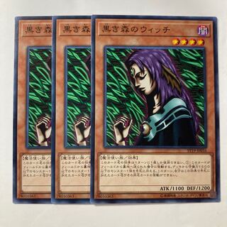 Witch of the Black Forest $299