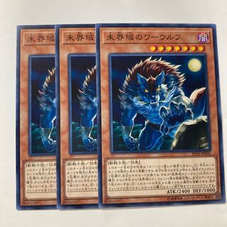 未界域のワーウルフ $300