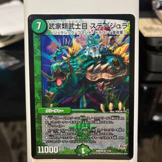 Samurai family Samurai order Stejura