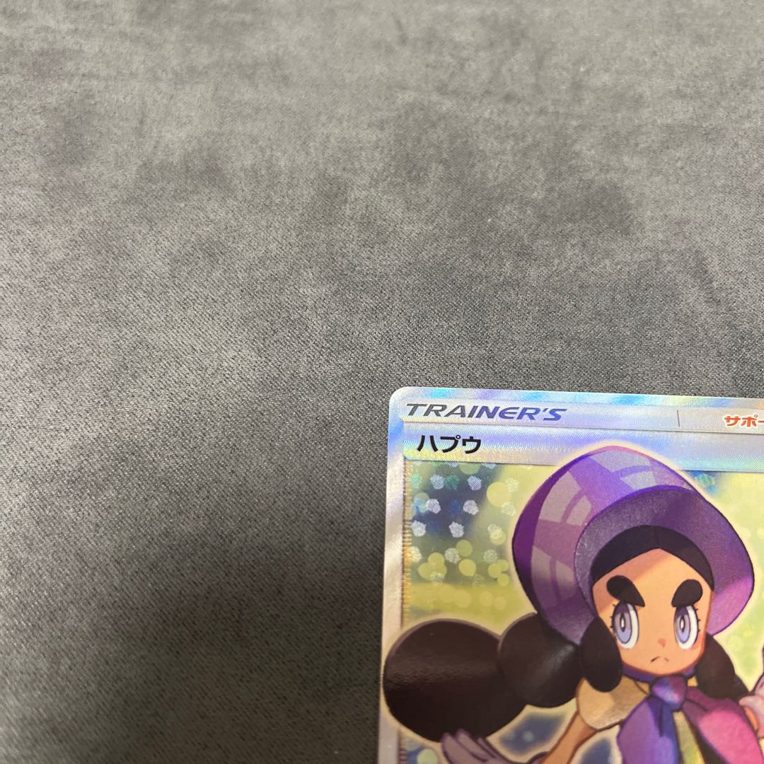 Hapu SR 195/173