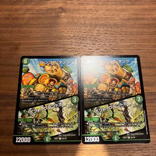 Colen Coco Tank｜Bont Plantivo