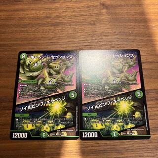 キャベッジ・セッションズ｜ソイルピンプ・キャベッジ