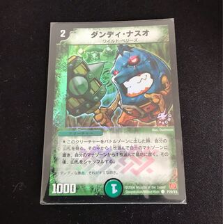 Dandy Naso C-foil 219/????