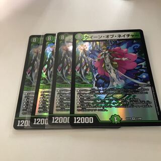 クイーン・オブ・ネイチャー VR 13/68