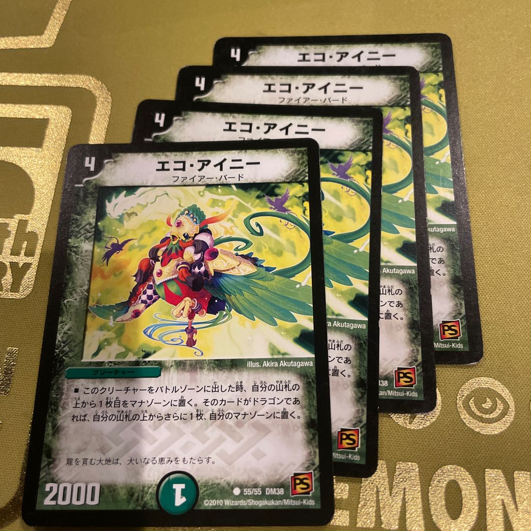 ECO EINY C 55/55 1枚