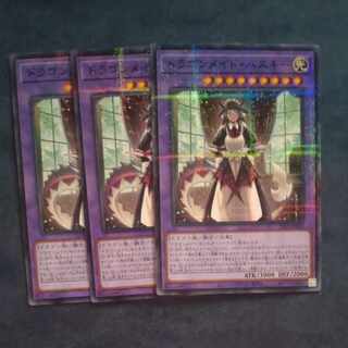 ドラゴンメイド・ハスキー ノーマルパラレル JP065 【木林堂】