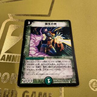 Cavern Raider C 53/55/Y5