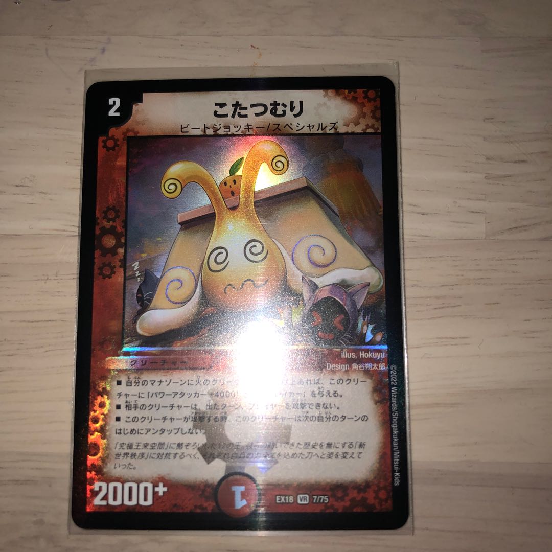 someone who curls up under a kotatsu all winter