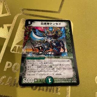 Byakkoshin Tensei R 35/110/Y7