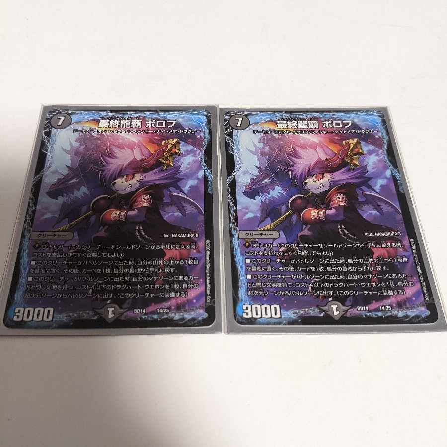 Final Dragon Heights Borov 14/25