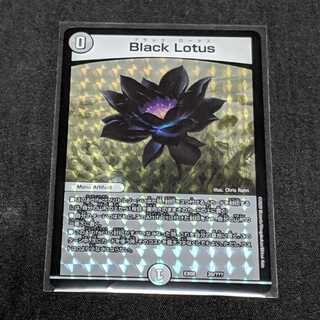 送料無料 ブラックロータス Black Lotus