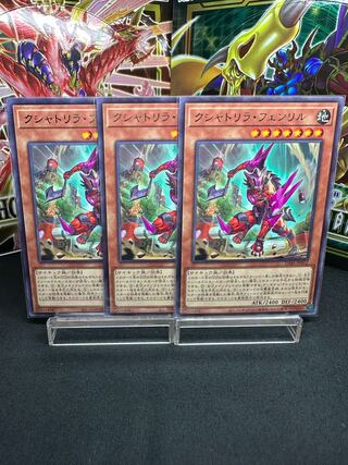 Kshatrira Fenrir Rare JP012