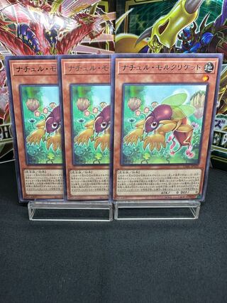 ナチュル・モルクリケット レア JP020