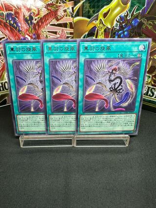 Black Feather Whirlwind Rare JP052