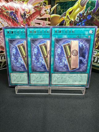 異譚の忍法帖 レア JP061