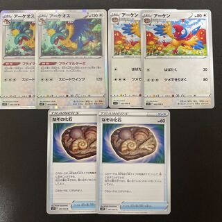 Archen Archeops Mysterious fossil Evolutionary line