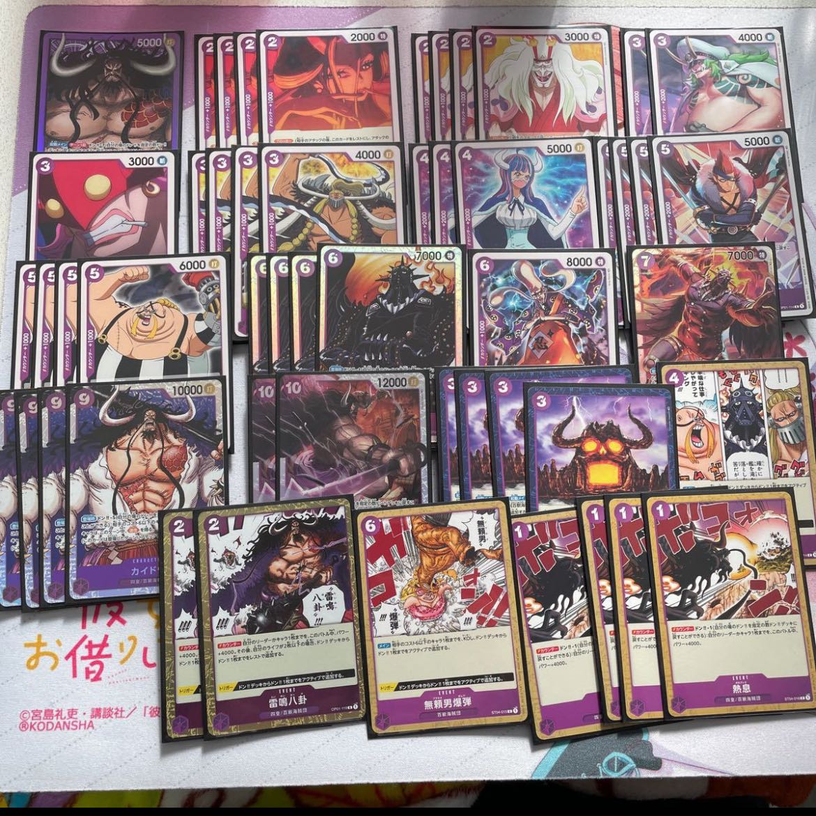 Lycoris traubii (species of spider lily)