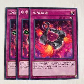 7051 Loop of Destruction $363